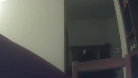 Snapshot of whiteduke81 chatting on 12.06.24 Whiteduke online show from 12.06.24