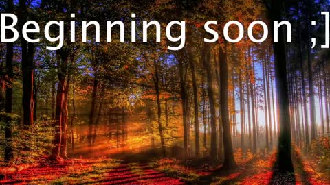 Snapshot of wiedzminmk2 chatting on 01.02.25 Wiedz online show from 01.02.25