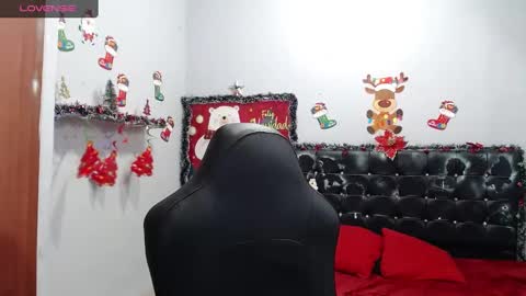 Snapshot of wiilliam_20 chatting on 01.23.25 wiilliam online show from 01.23.25