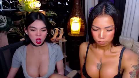 wildara online show from 11.25.25