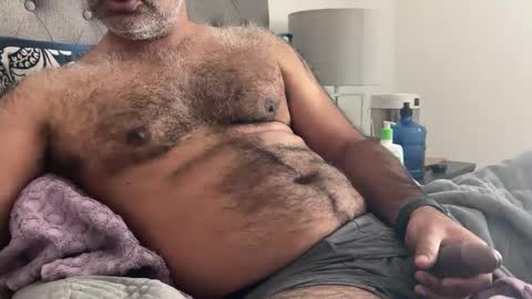 Snapshot of wildhungry chatting on 01.03.25 wildhungry online show from 01.03.25