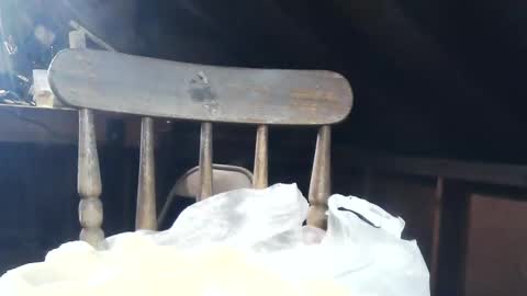 Snapshot of wildman6 chatting on 02.08.25 wildman6 online show from 02.08.25