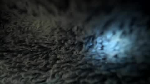 Snapshot of xxxdanidoomsdayxxx chatting on 01.05.25 Danielle online show from 01.05.25