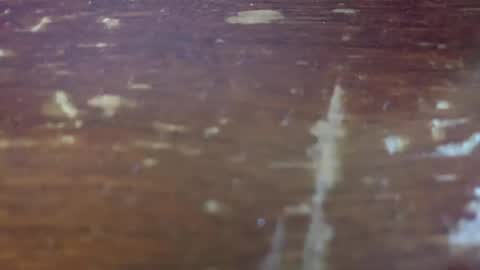 yagishirafe online show from 11.13.25