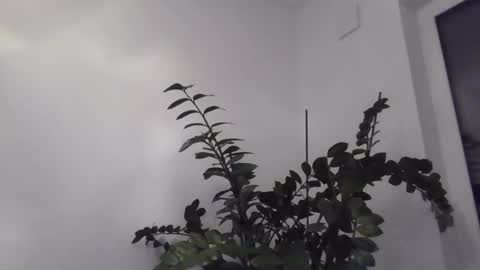 Snapshot of yakijoe chatting on 10.22.25 yakijoe online show from 10.22.25