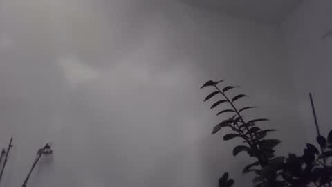 Snapshot of yakijoe chatting on 11.06.25 yakijoe online show from 11.06.25