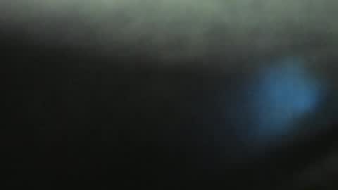 Snapshot of yourfantasyc chatting on 01.11.25 Evelline online show from 01.11.25