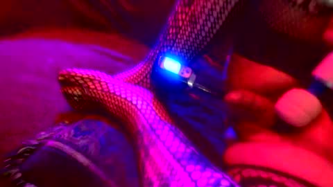 Snapshot of z0rl0c chatting on 10.04.25 Z0RL0C online show from 10.04.25