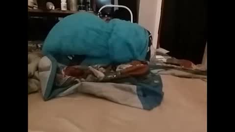 Snapshot of zeroandhero chatting on 12.14.24 zero online show from 12.14.24