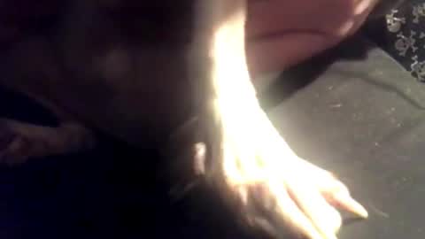 Snapshot of zeroandhero chatting on 03.07.25 zero online show from 03.07.25