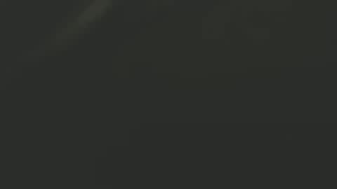 Snapshot of zx66_pyro chatting on 12.30.24 zx66_pyro online show from 12.30.24