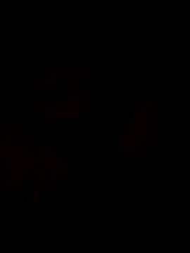 Snapshot of Sanny212 chatting on 12.09.24 Sanny212 online show from 12.09.24