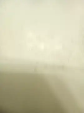 Masternasty online show from 11.25.25