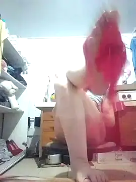 Cameron puppy online show from 03.02.25