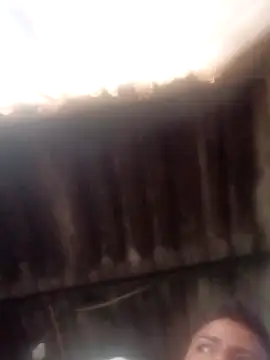 dantero online show from 01.14.25