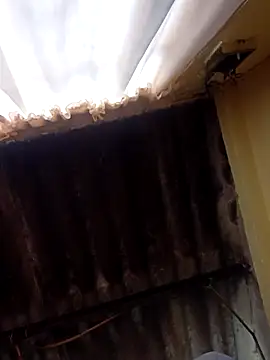 dantero online show from 02.27.25