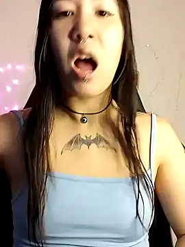 Snapshot of Japabaixinha chatting on 12.14.24 Japabaixinha online show from 12.14.24