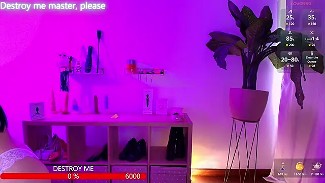 catha cat online show from 11.24.25