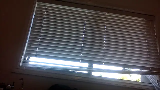 lilboygonewild online show from 09.08.25