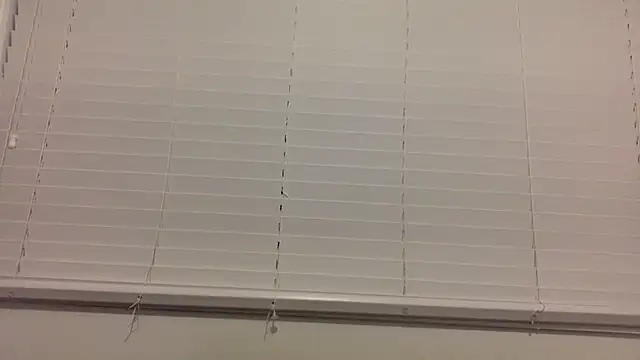 lilboygonewild online show from 11.14.25