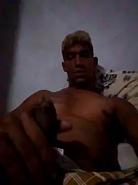 Snapshot of fieltoprj1 chatting on 01.11.25 fieltoprj1 online show from 01.11.25