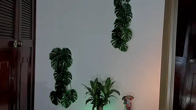 yandracelisofficial online show from 03.01.25