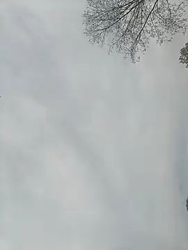 Snapshot of Nkumar173 chatting on 02.13.25 Nkumar173 online show from 02.13.25