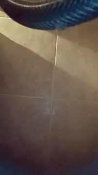 Snapshot of whitetrashdirtyslut chatting on 12.04.25 whitetrashdirtyslut online show from 12.04.25