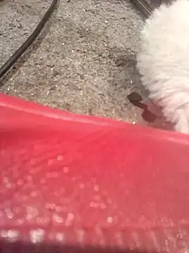 lubme online show from 10.07.25