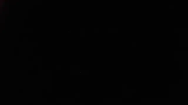 White daisy online show from 01.04.25