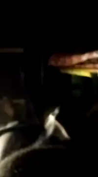 Snapshot of findmemylove chatting on 01.07.25 findmemylove online show from 01.07.25