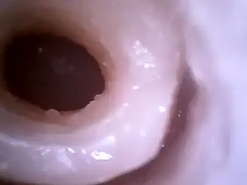 Snapshot of Beijing2000 chatting on 12.18.24 Beijing2000 online show from 12.18.24