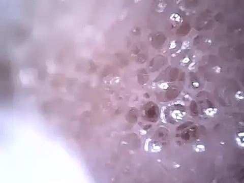 Snapshot of Beijing2000 chatting on 12.19.24 Beijing2000 online show from 12.19.24