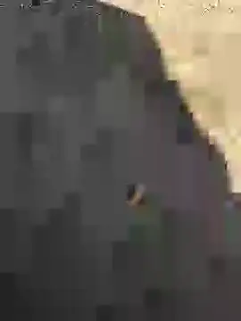 Snapshot of Beijing2000 chatting on 01.27.25 Beijing2000 online show from 01.27.25