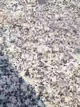 Snapshot of Beijing2000 chatting on 01.30.25 Beijing2000 online show from 01.30.25