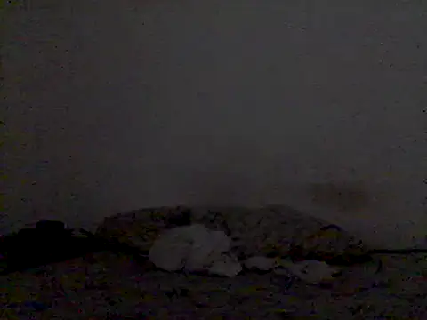 Snapshot of mariy_ chatting on 03.03.25 mariy  online show from 03.03.25