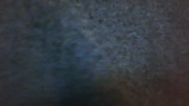 Snapshot of wedge75 chatting on 12.02.24 wedge75 online show from 12.02.24