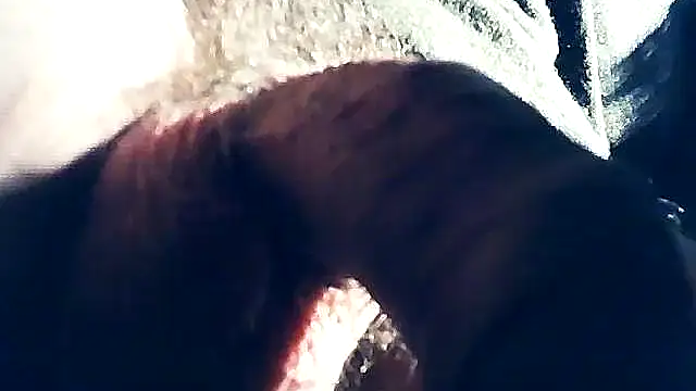 Snapshot of wedge75 chatting on 02.08.25 wedge75 online show from 02.08.25