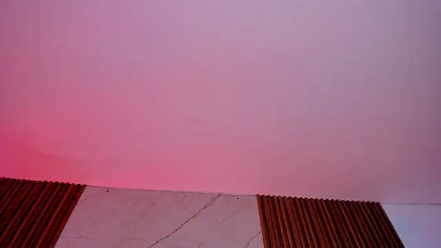 Emiilycollins online show from 01.24.25