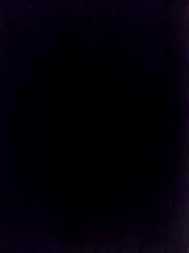 Snapshot of BongChannel chatting on 01.01.25 BongChannel online show from 01.01.25