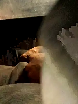 Snapshot of xWhoreAbleX_Pika chatting on 03.06.25 xWhoreAbleX Pika online show from 03.06.25