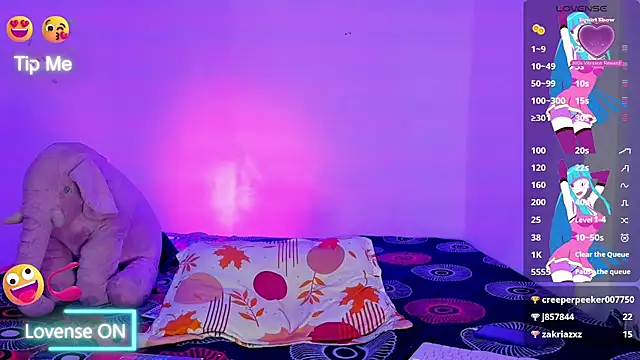 Snapshot of michelle_explosive chatting on 12.29.24 michelle explosive online show from 12.29.24