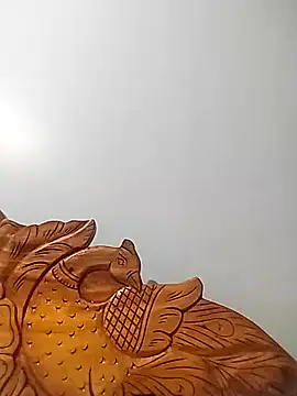 Snapshot of Bachuudaya chatting on 11.25.25 Bachuudaya online show from 11.25.25