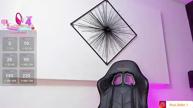 Rose baker  online show from 11.15.25