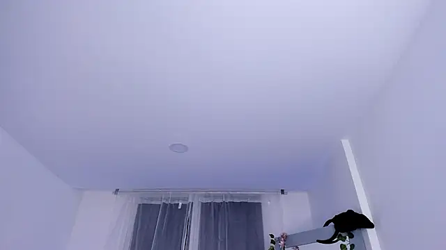 Snapshot of _mia_collins_b_ chatting on 01.29.25  mia collins b  online show from 01.29.25