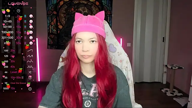 Snapshot of Project_hisoka chatting on 01.17.25 Project hisoka online show from 01.17.25