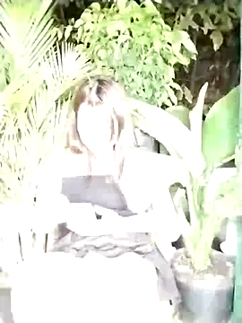 Dawn hope online show from 03.11.25