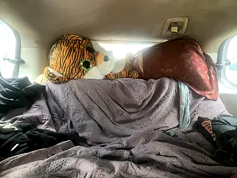 SlimeCrownzOut5 online show from 11.18.25