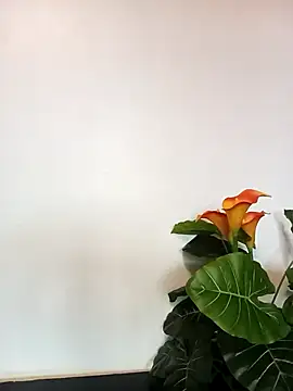 Snapshot of JemaimaPrincess chatting on 03.21.25 JemaimaPrincess online show from 03.21.25