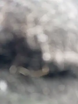  andrea30 online show from 10.30.25